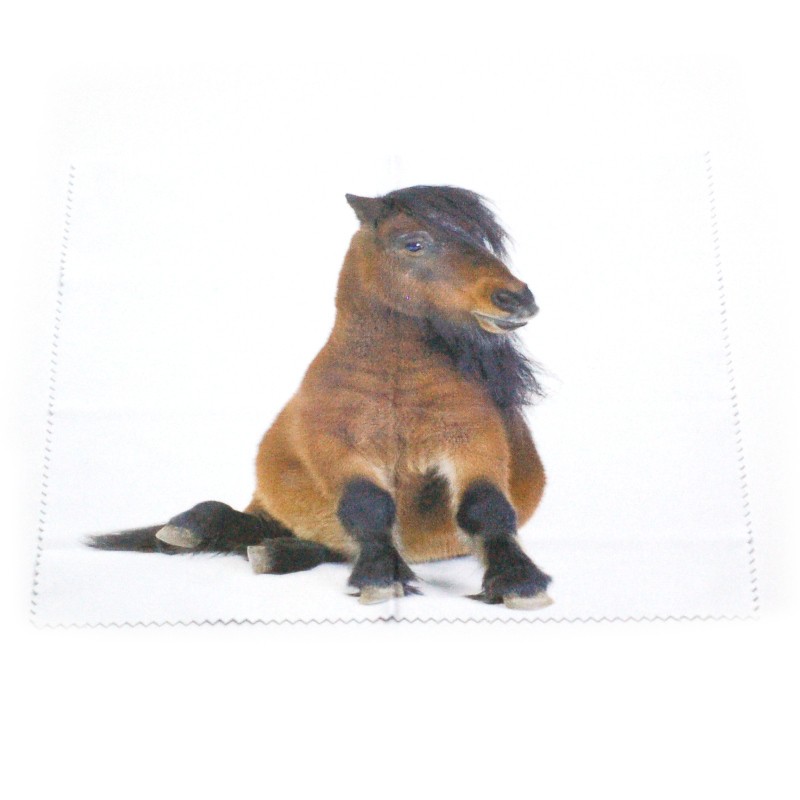 4329 Utierka na okuliare Kôň 18x18cm – Obrázok 1